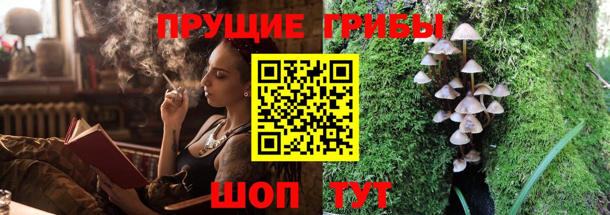Псилоцибиновые грибы Magic Shrooms  хочу наркоту  Карпинск  Вход с VPN 